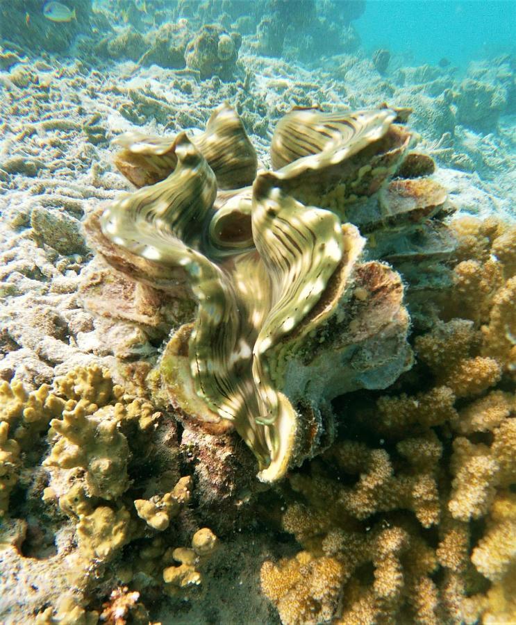 One The Island Hotell Naifaru Eksteriør bilde