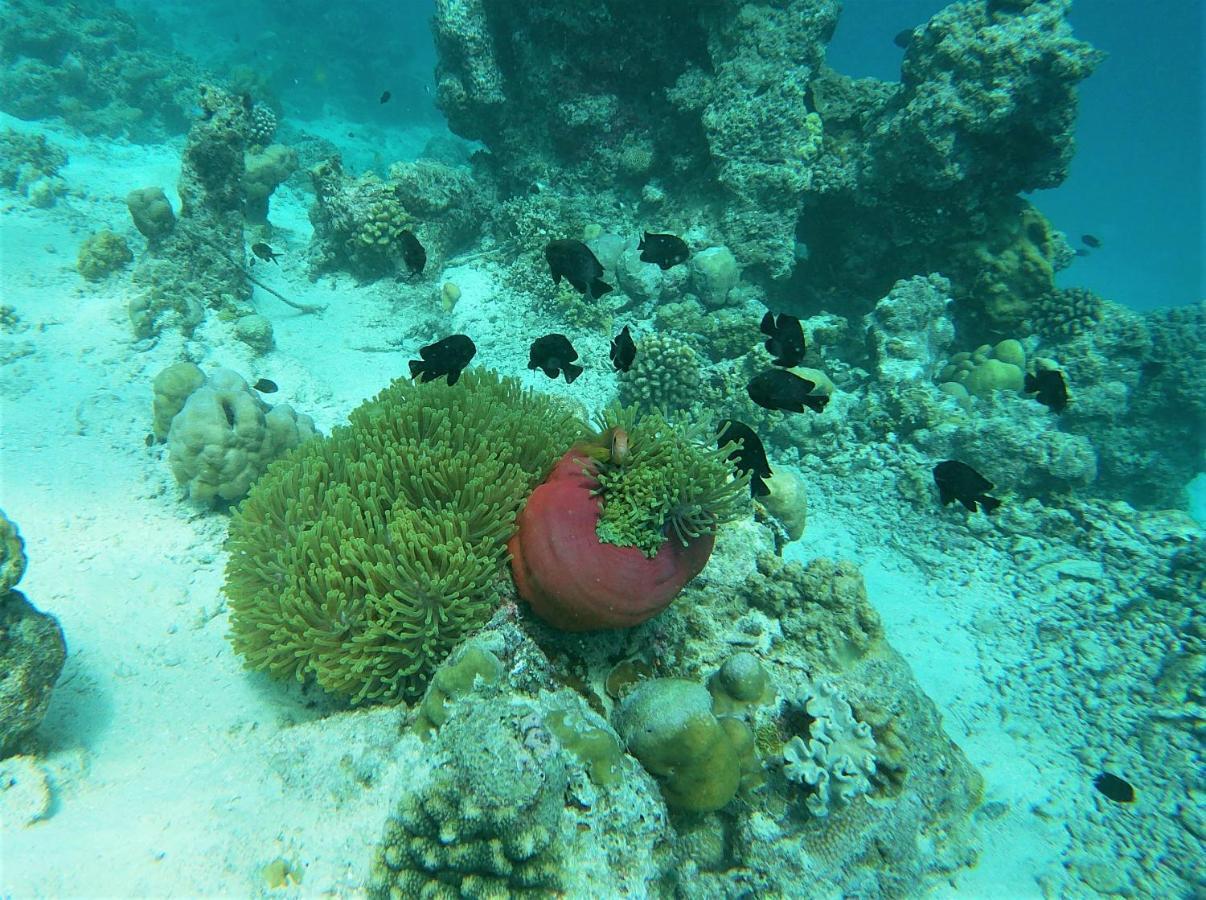 One The Island Hotell Naifaru Eksteriør bilde