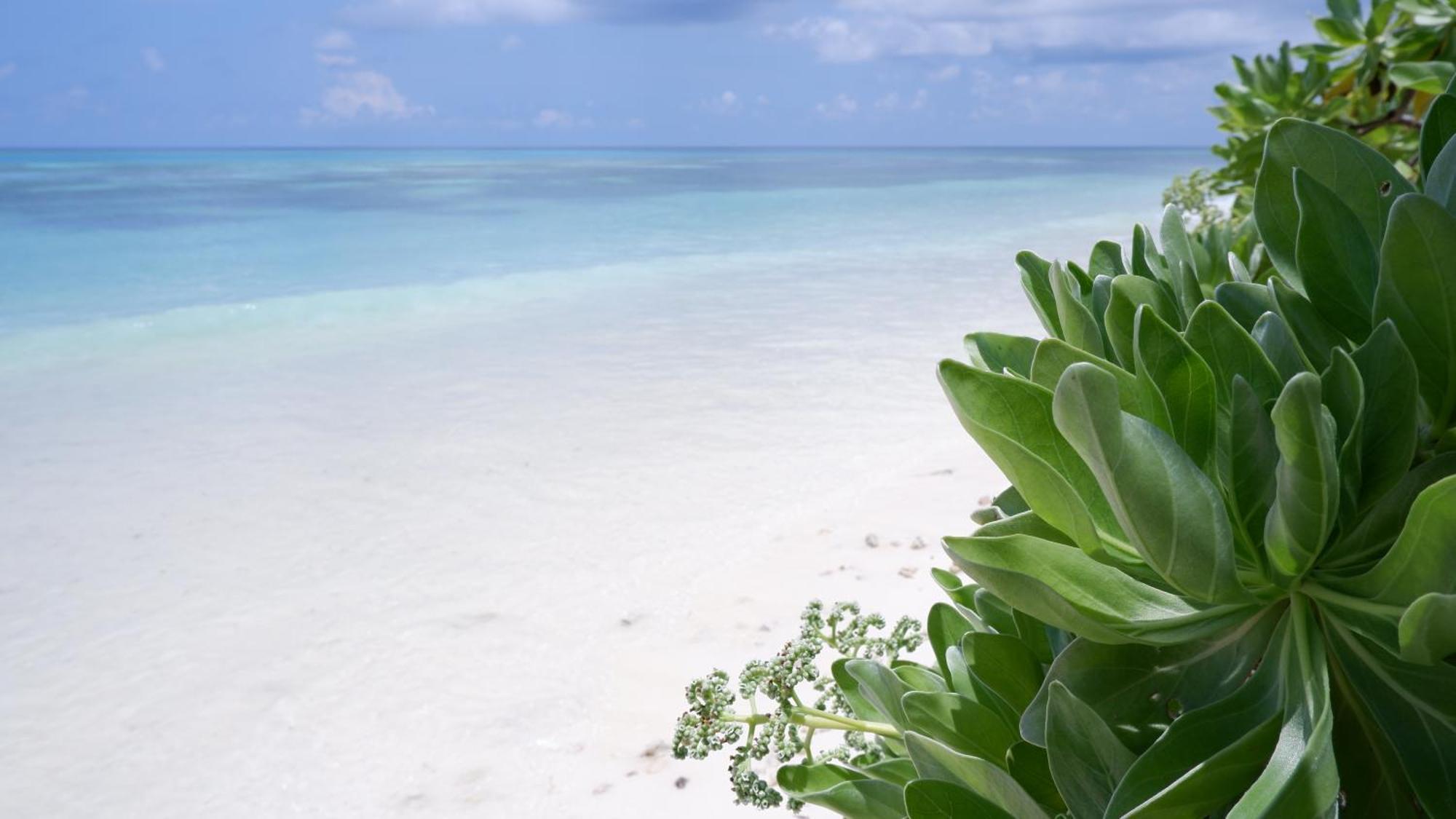 One The Island Hotell Naifaru Eksteriør bilde